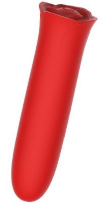 Bullets & Egg Vibrators